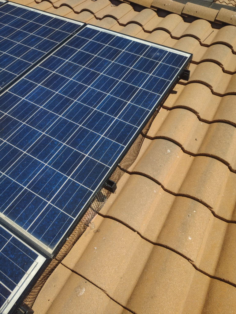 After Bird Netting Installation in Sylmar, CA