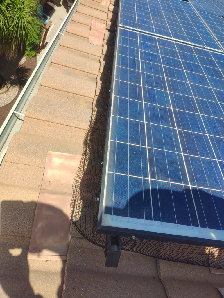 After Bird Netting Installation in Sylmar, CA