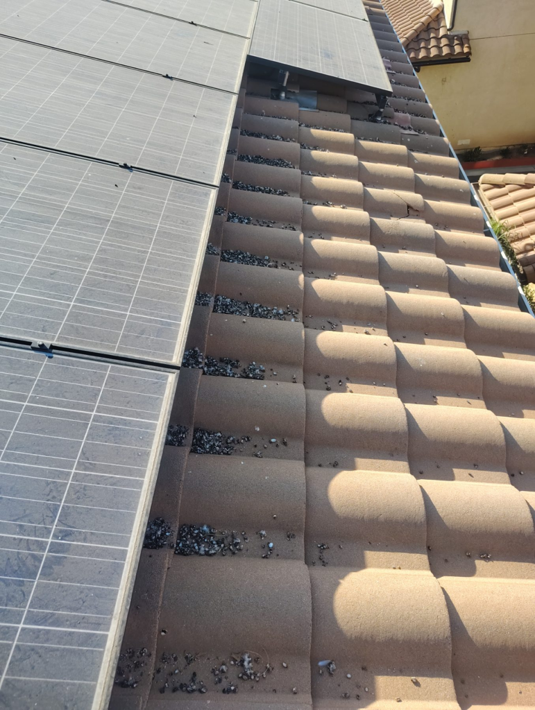 Before Bird Netting Installation in Sylmar, CA