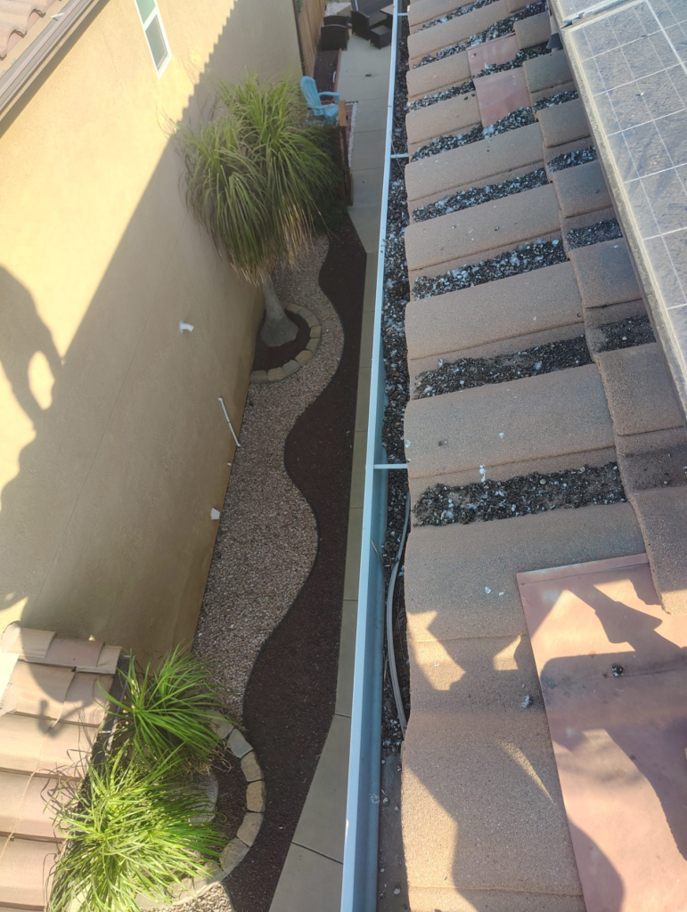 Before Bird Netting Installation in Sylmar, CA