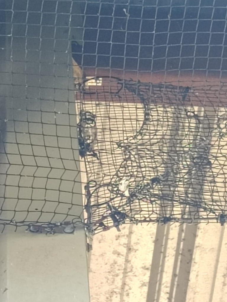 After Bird Netting Installation in Goleta, CA