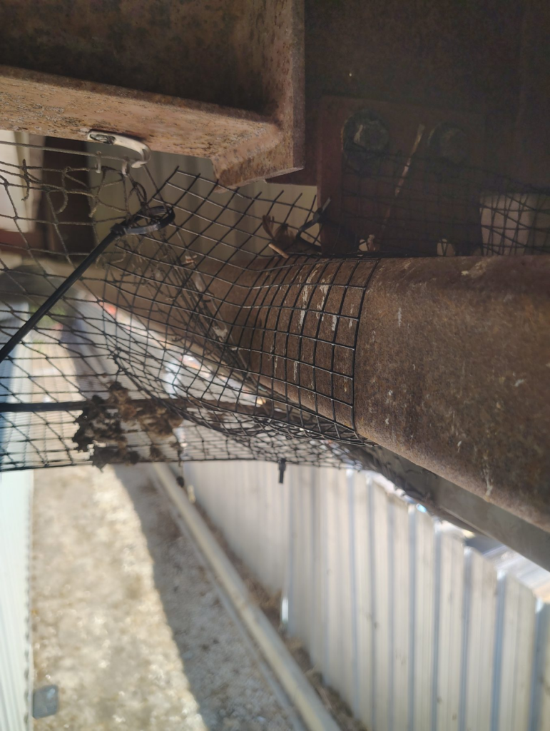 After Bird Netting Installation in Goleta, CA