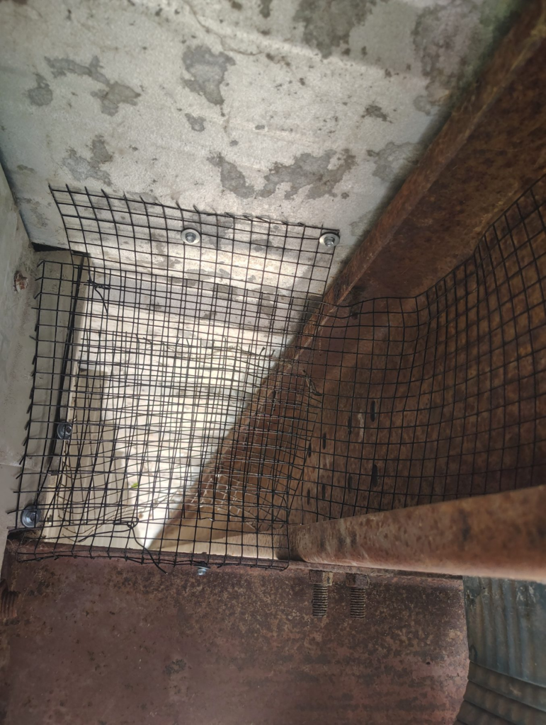 After Bird Netting Installation in Goleta, CA