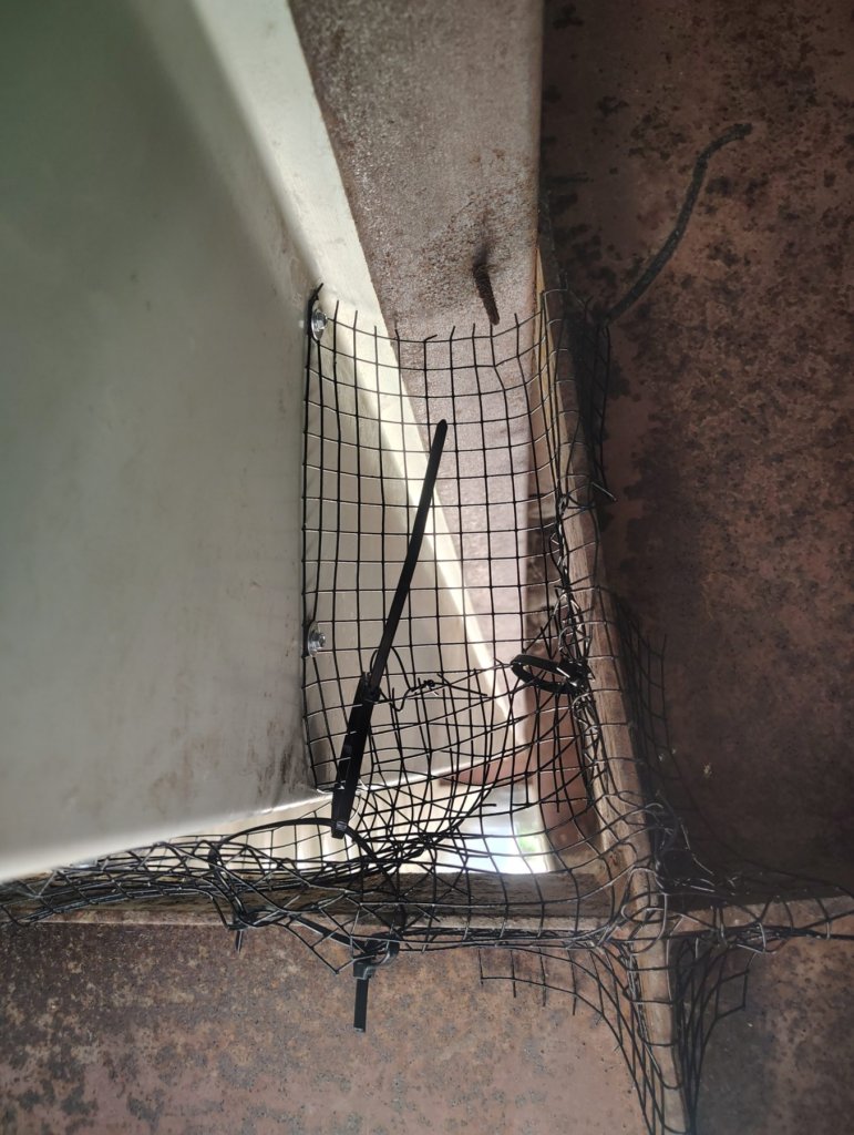After Bird Netting Installation in Goleta, CA