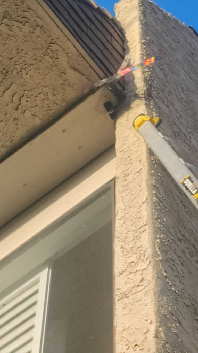 Bird Proofing completed in Thousand Oaks, CA