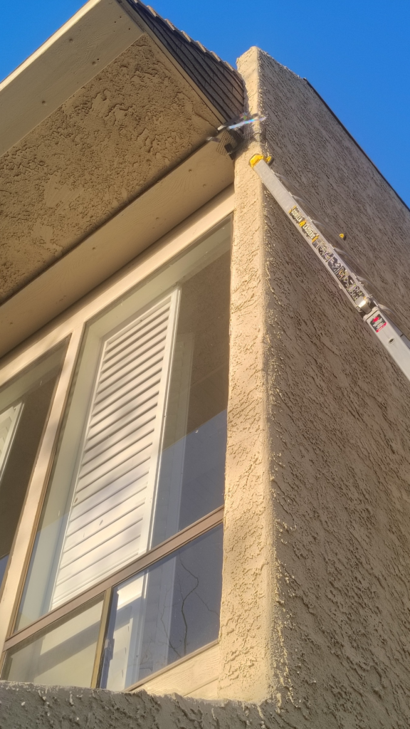 Before Bird Proofing in Thousand Oaks, CA